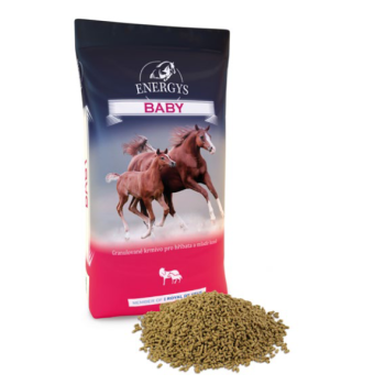 Pasza Energys Baby konie źrebaki De Heus 25kg